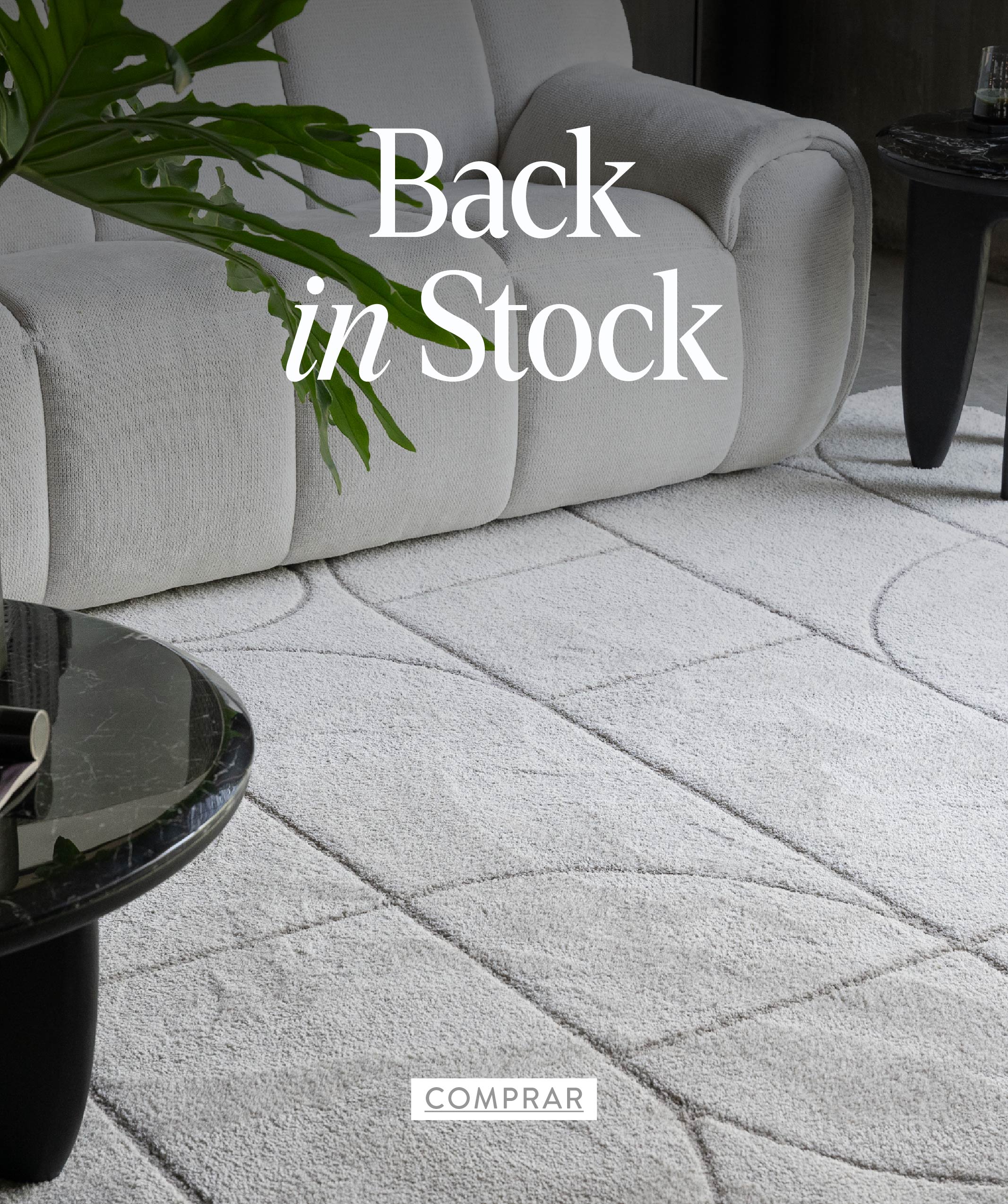 BACK IN STOCK AGOSTO (AZAR)